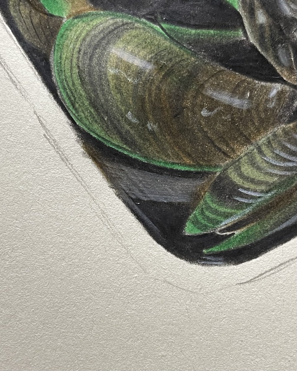 nxtteu's tweet photo. little sketch spoiler before the real thing drops later ✍🏻 https://t.co/RSv9avGVjC