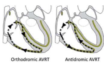 OrcaMed🔲 tweet media