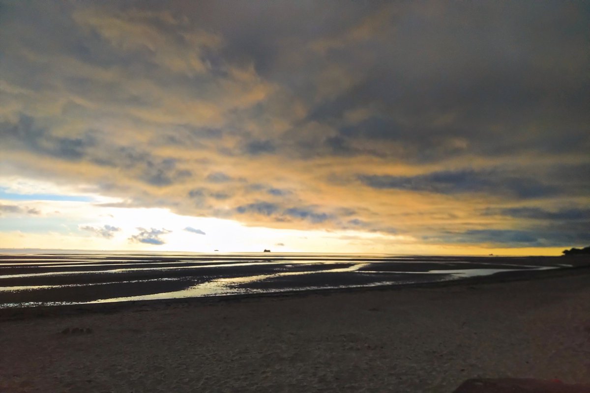 Wayne Whittle tweet media