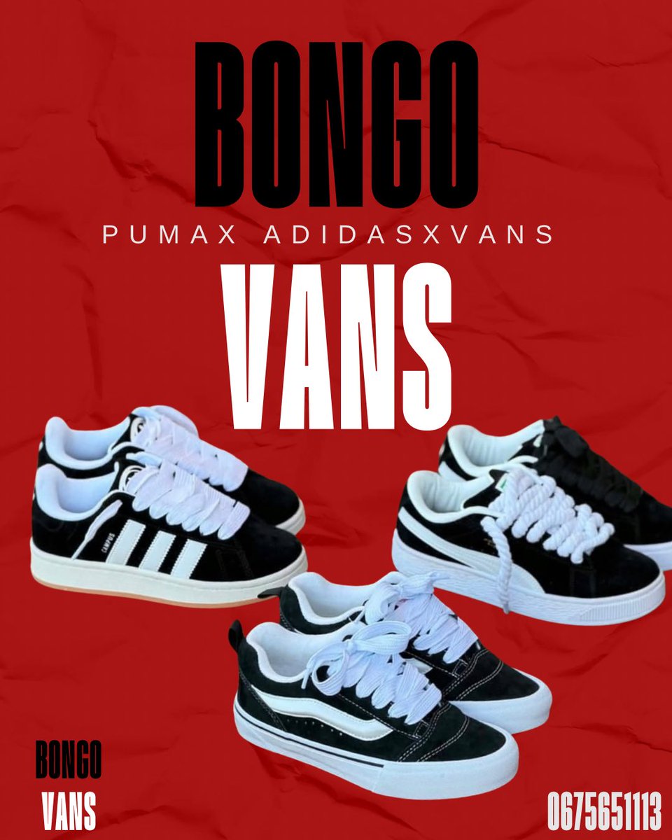 Bongo Vans tweet media