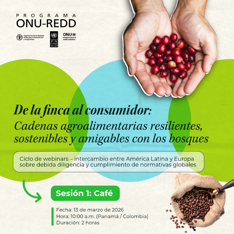 UN-REDD Programme tweet media