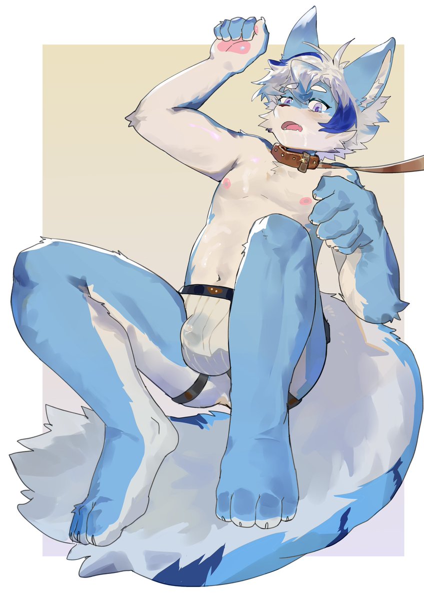 肥康捏～ tweet media