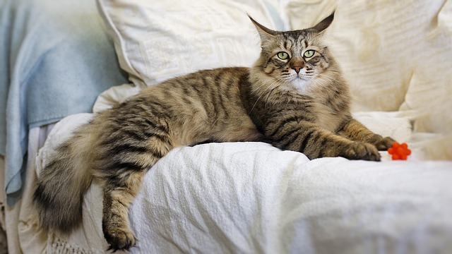 David Pink tweet media