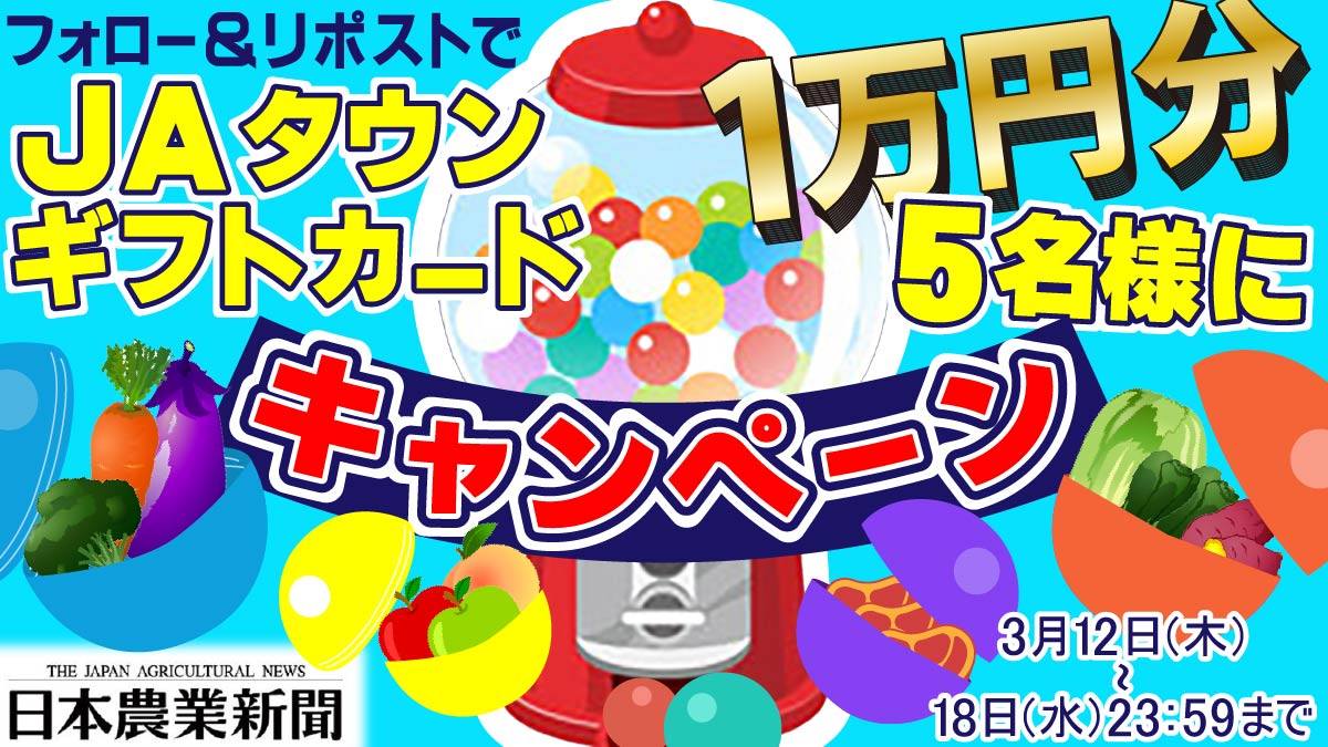日本農業新聞フォロー&amp;リポストキャンペーン❗️
JAタウンギフトカード1万円分を【5名様】に🎁
 
◆参加方法
1⃣ <a href="/jagrinews/">日本農業新聞</a> をフォロー 
2⃣この投稿をリポスト 
3/18(水)23：59まで⏰
#日本農業新聞 つき引用リポストで当選確率アップ↗️

規約はコメント欄をご覧ください。
 ご参加、お待ちしています！