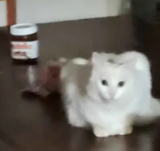 Basill🌼 tweet media