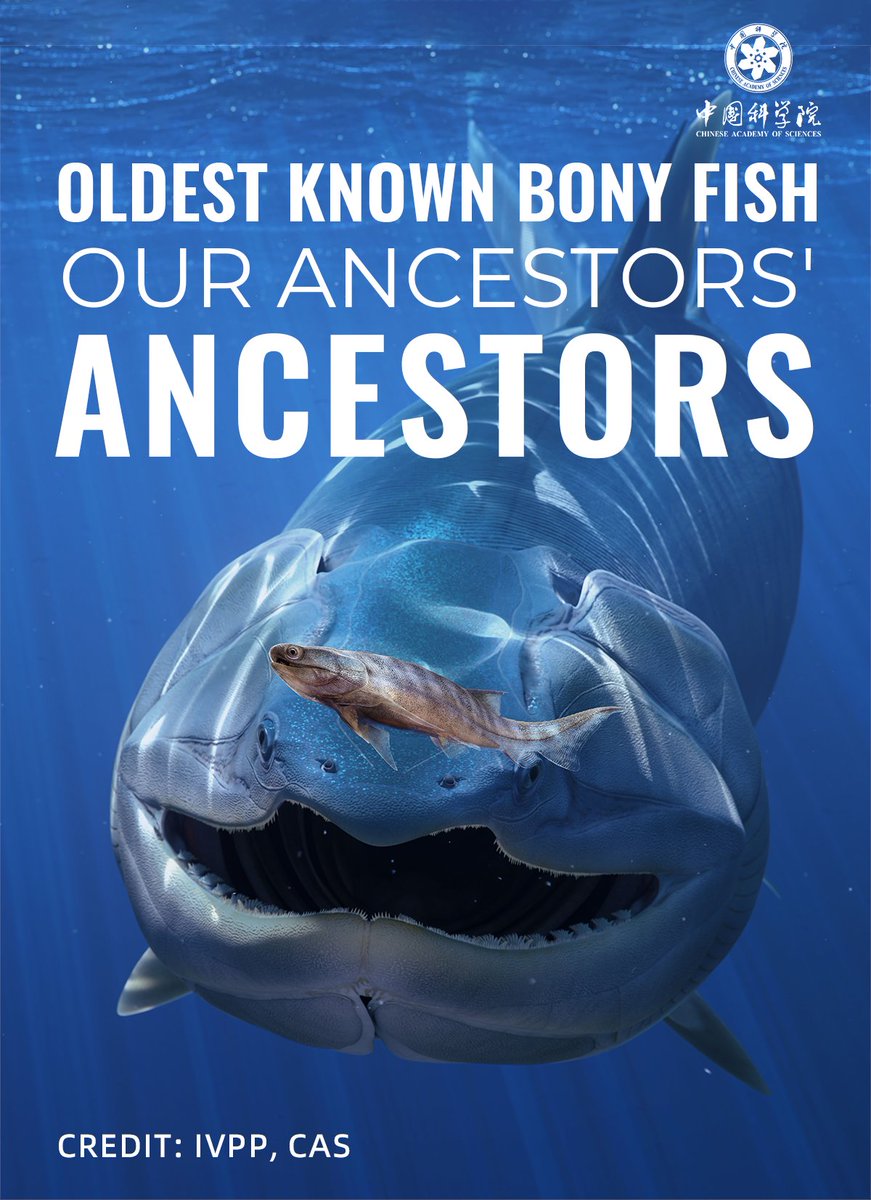 Chinese Academy of Sciences tweet media