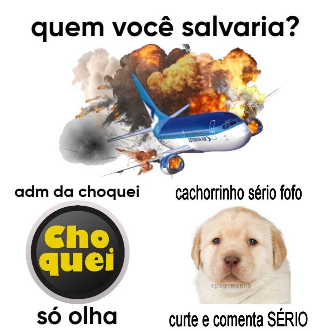 Página Séria. tweet media