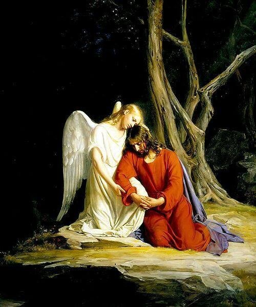 JustAdaugoijele's tweet photo. Pray not for lighter loads but for stronger shoulders 
              St. Augustine https://t.co/etYvoYihpg