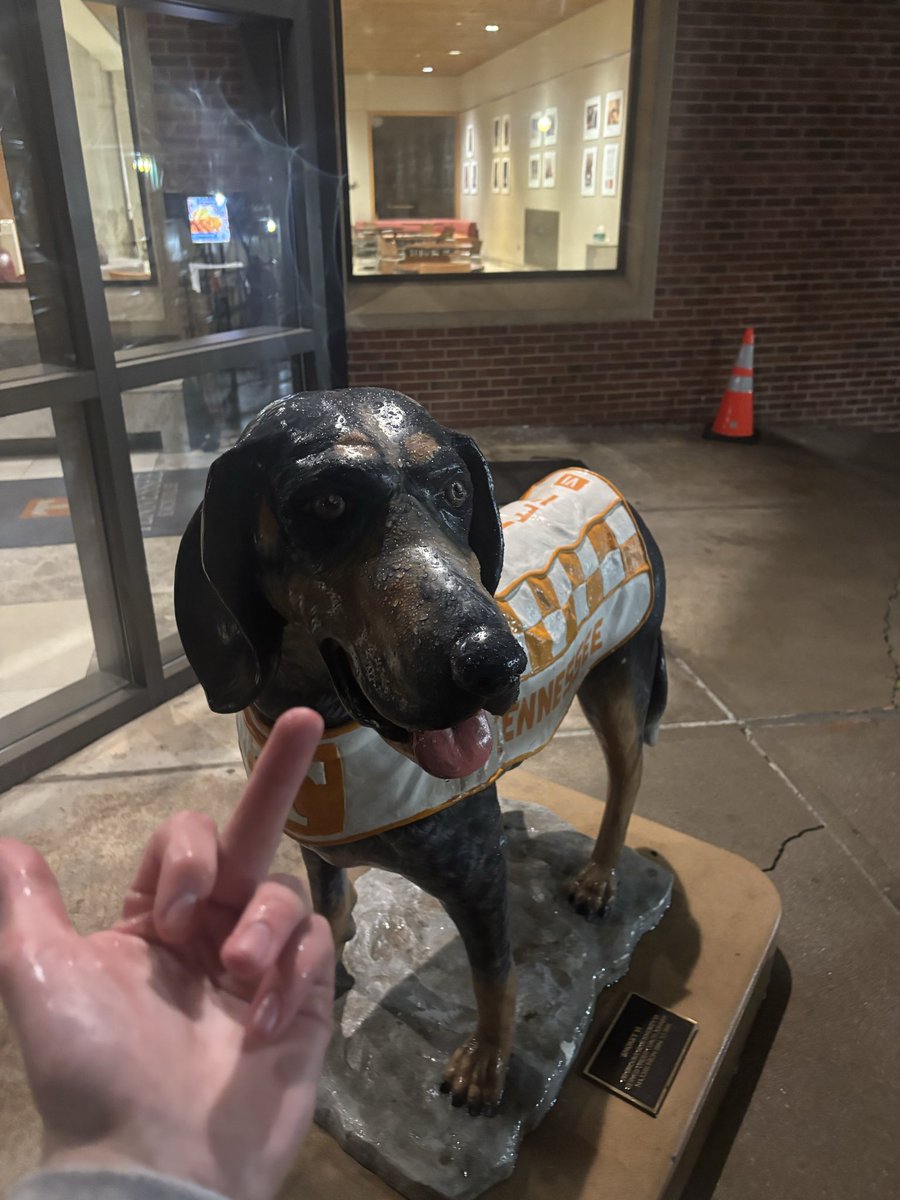 Fuck Tennessee #catsby90