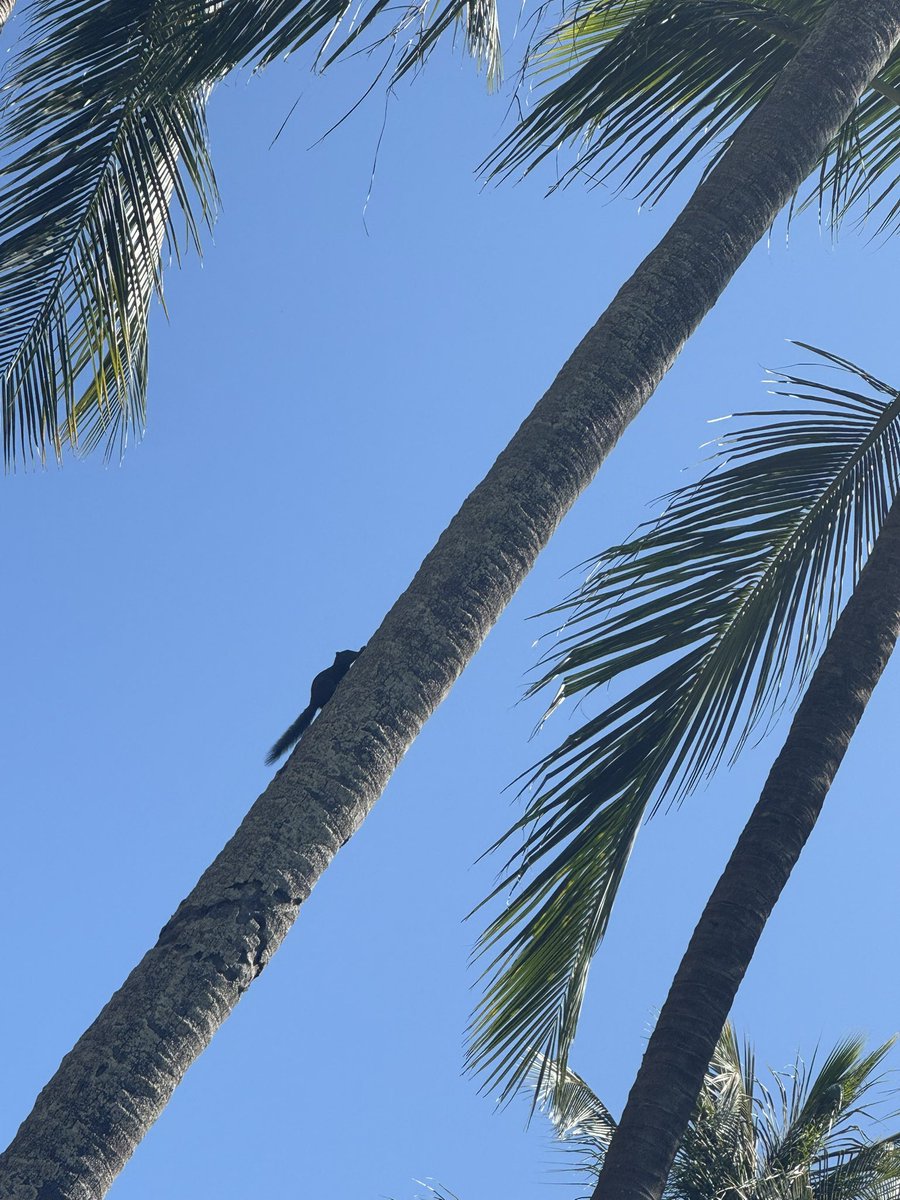 MAHIRO | 美容師Assistant tweet media