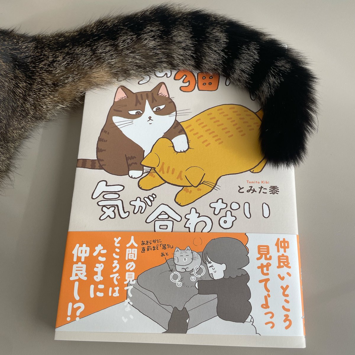 本の刷り上がりが届いた!わ〜い 