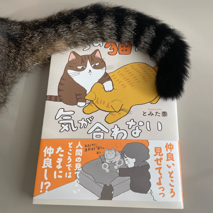 本の刷り上がりが届いた!わ〜い 