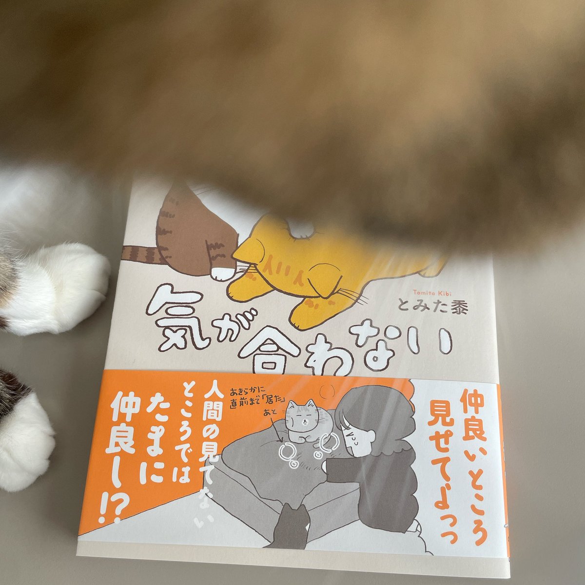 本の刷り上がりが届いた!わ〜い 