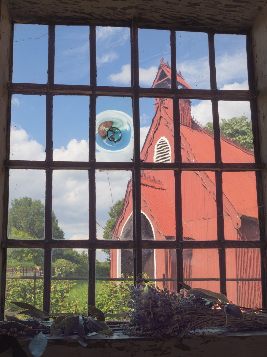 Daily Picture Theme tweet media