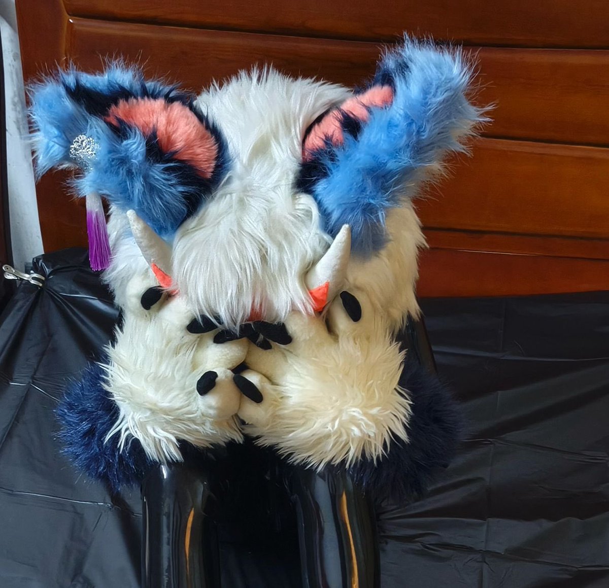 TentAc1es_A酱 tweet media