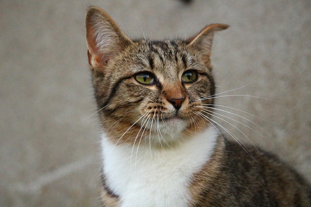 Stacey Gardner tweet media