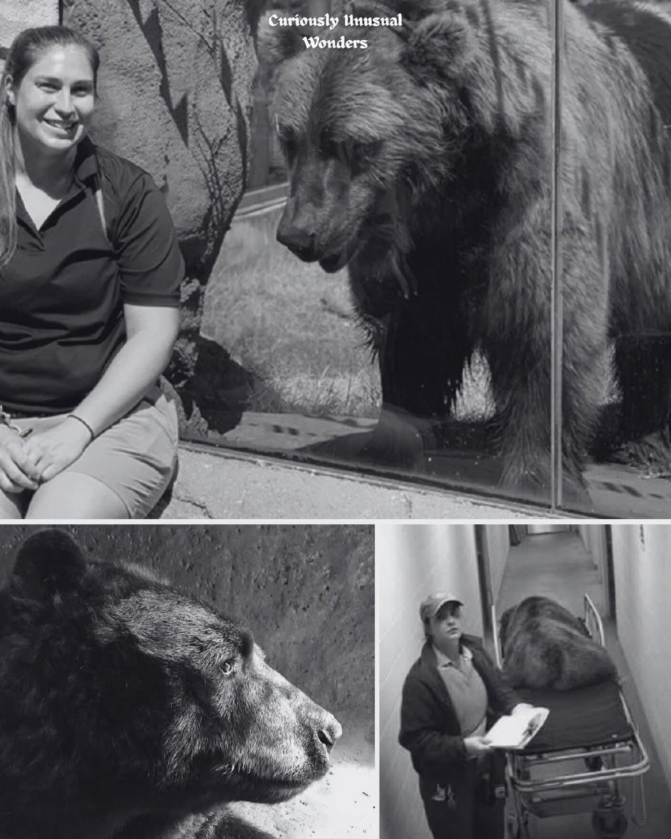 Mr PitBull tweet media