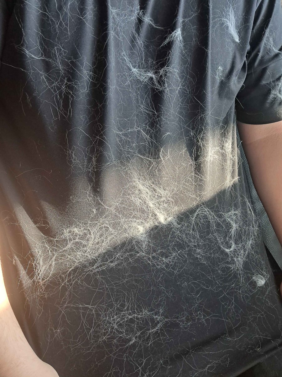 아나스타샤🔞 tweet media