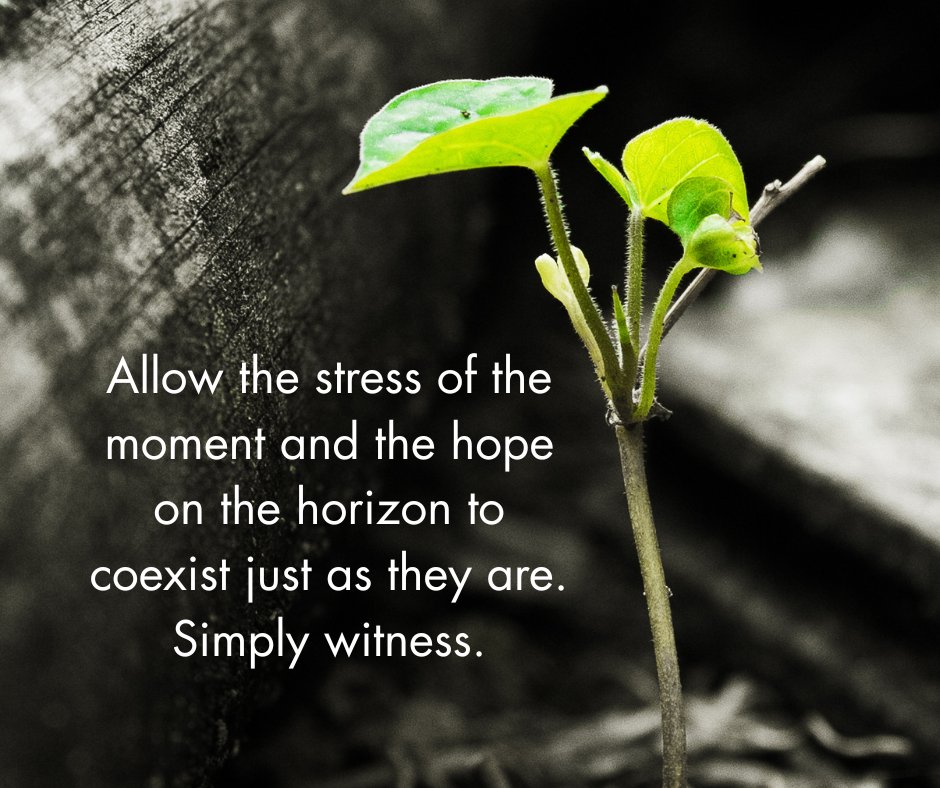 Daisy Grass (@paulinejb27) on Twitter photo 
