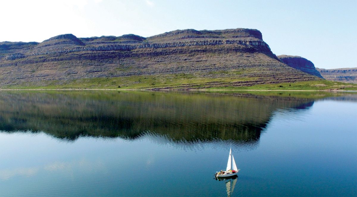 アヤ🌸 tweet media