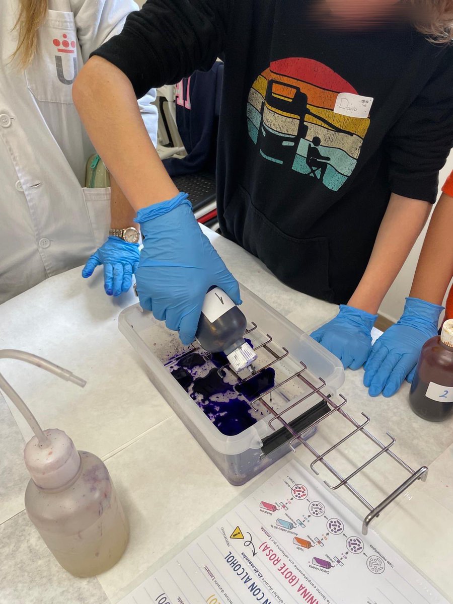 CEIP Claudio Sánchez Albornoz (Alcorcón) tweet media