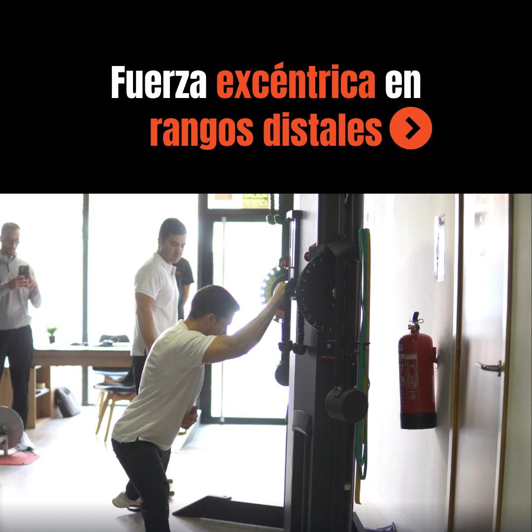 PreparacionFísicaBaloncesto. Assessport tweet media