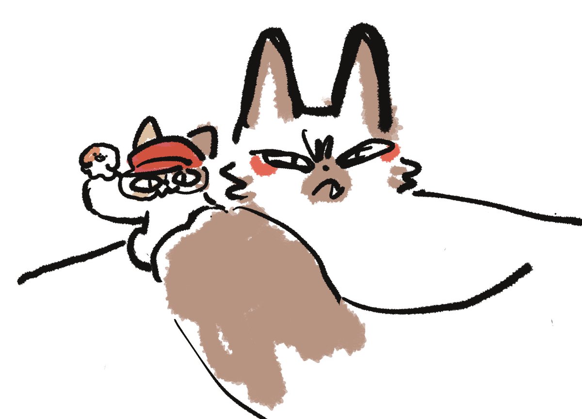 셋의 덩치 차이 느낌(체감상)