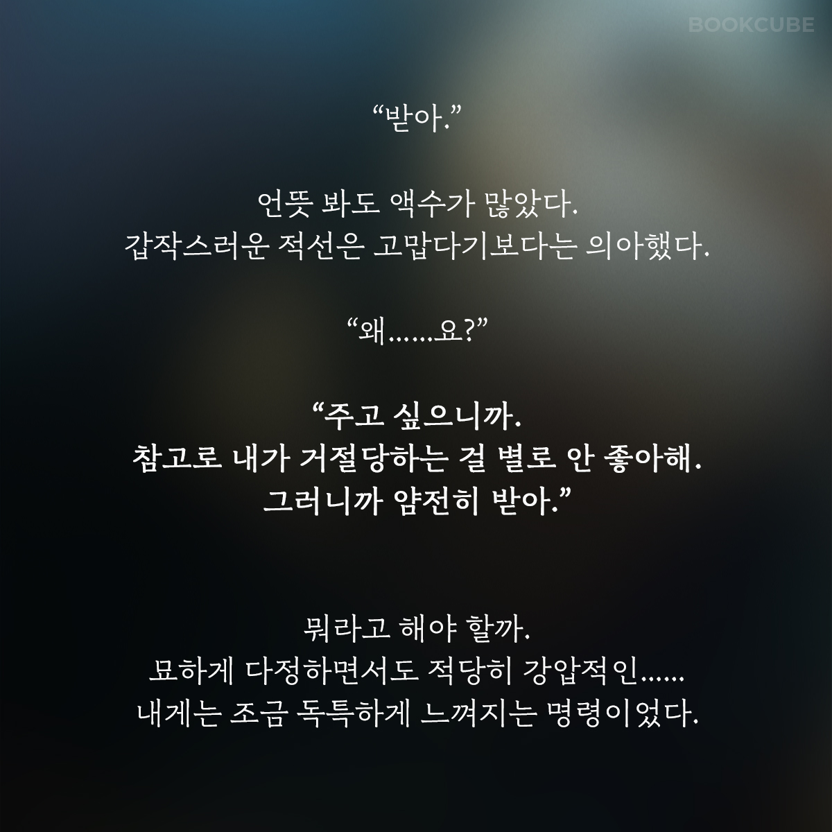 북큐브 tweet media