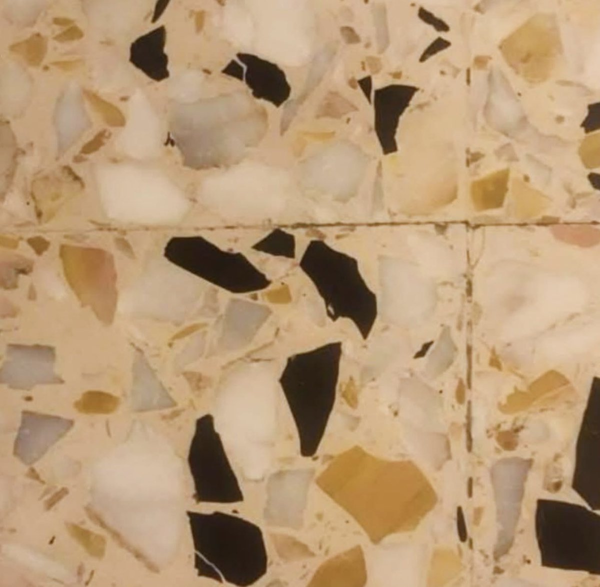 L’Oasi di Salvo tweet media