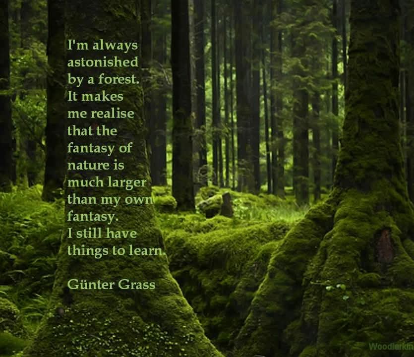 “One gram of moss from the forest floor, a piece about the size of a muffin, would harbor 150,000 protozoa, 132,000 tardigrades, 3,000 springtails, 800 rotifers, 500 nematodes, 400 mites, and 200 fly larvae." - Robin Wall Kimmerer