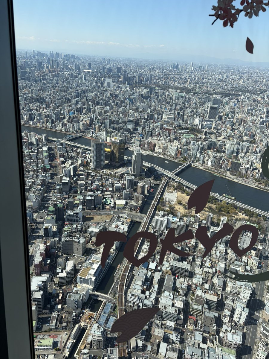 HolyAlice1225's tweet photo. スカイツリー景色綺麗だったけど下見たら怖すぎて足が竦むわ https://t.co/mpYRKARVUY