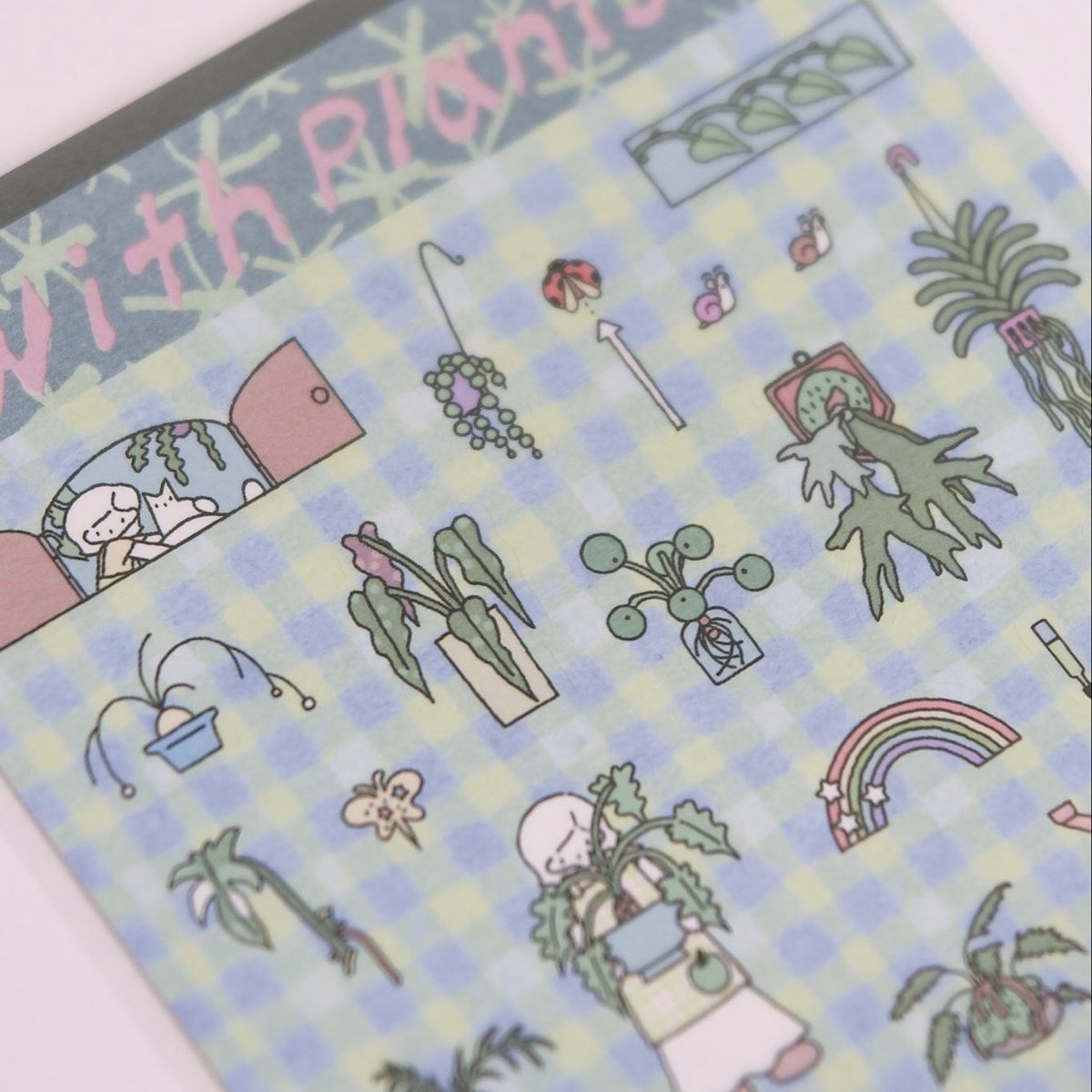 고사리 tweet media