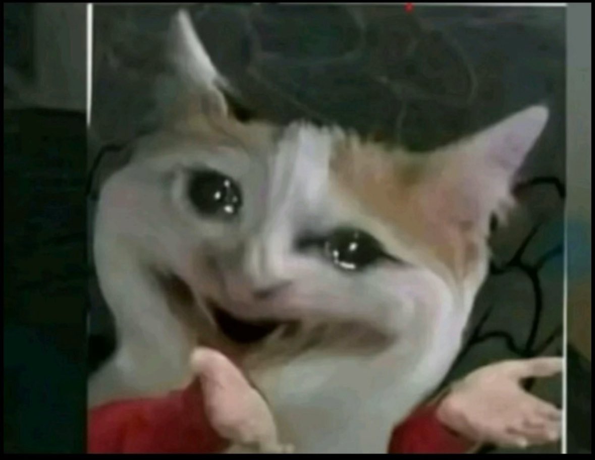 سما✨ tweet media