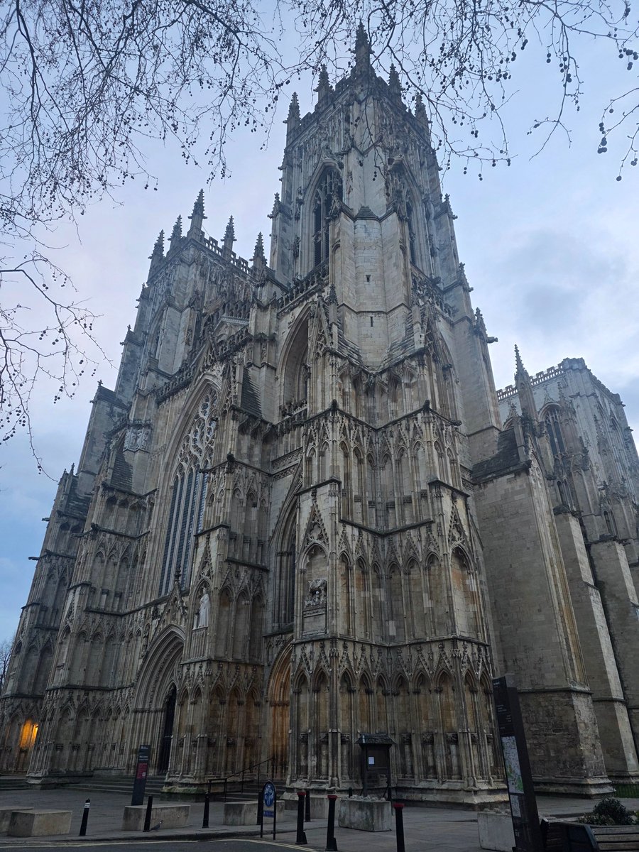 Mighty Mouse tweet media