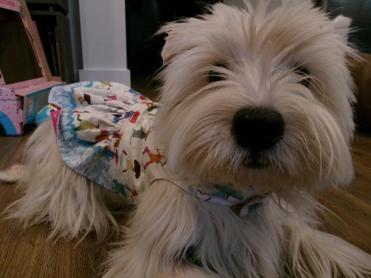 Travis Ford tweet media