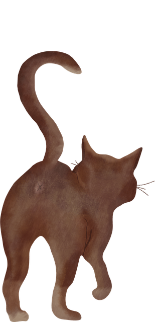 Harold Thomas tweet media