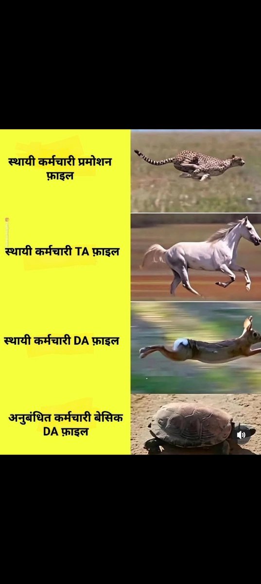 7 लाख होमगार्ड जवानों की आखिरी उम्मीद है राघव चड्ढा जी हैं 
महोदय से अनुरोध है कि होमगार्ड जवानों की आवाज को उठाएं 1947,1962,1963 आज तक होमगार्ड एक्ट में किसी ने संशोधन नहीं किया है 
महोदय होमगार्ड एक्ट में संशोधन होना चाहिए
<a href="/raghav_chadha/">Raghav Chadha</a> जी 
<a href="/AmitShah/">Amit Shah</a> जी 
<a href="/PMOIndia/">PMO India</a> जी