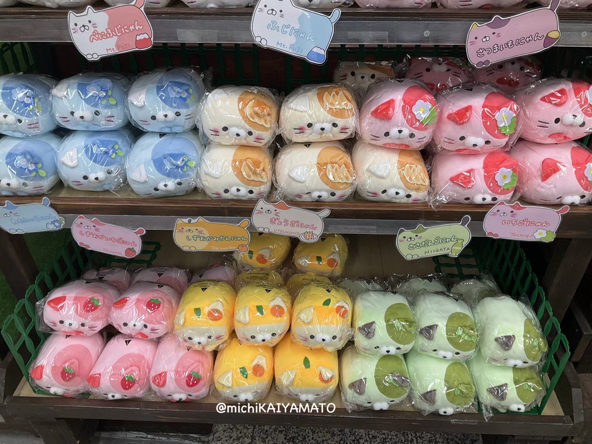 ✨ご当地ころころにゃんこフェア✨ ねもふぃらにゃん、ぎょうざにゃん