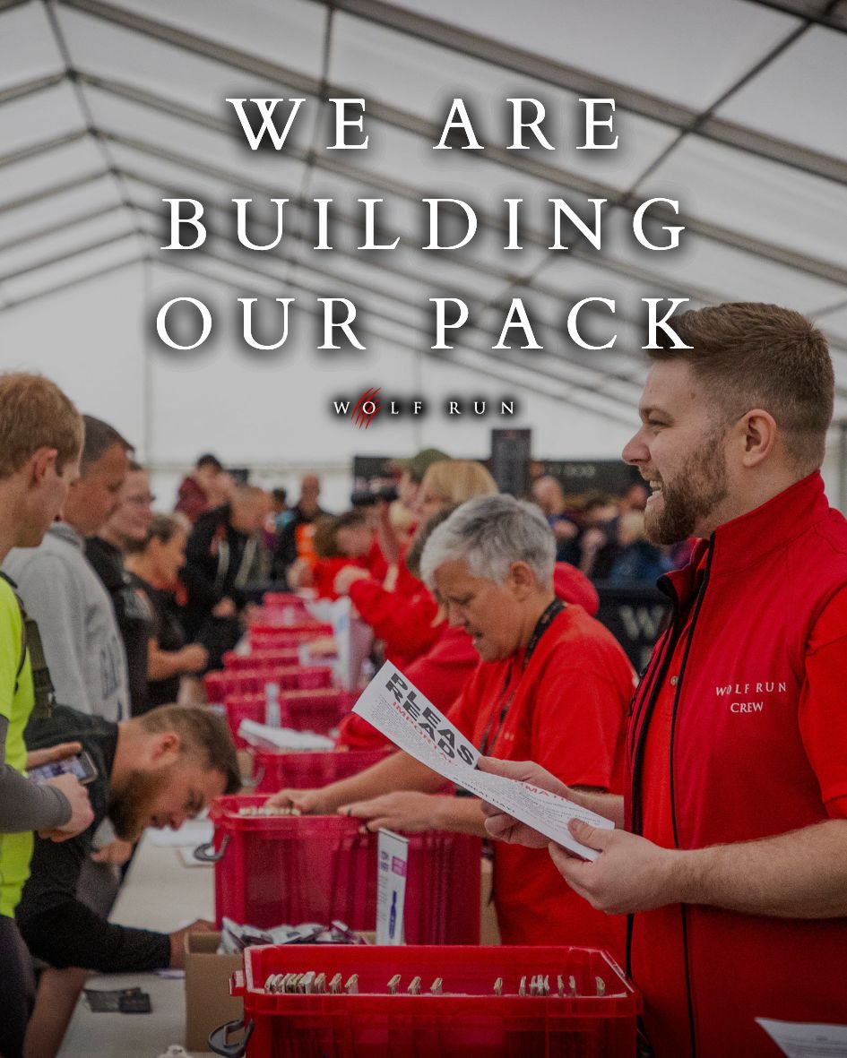 The Wolf Run tweet media