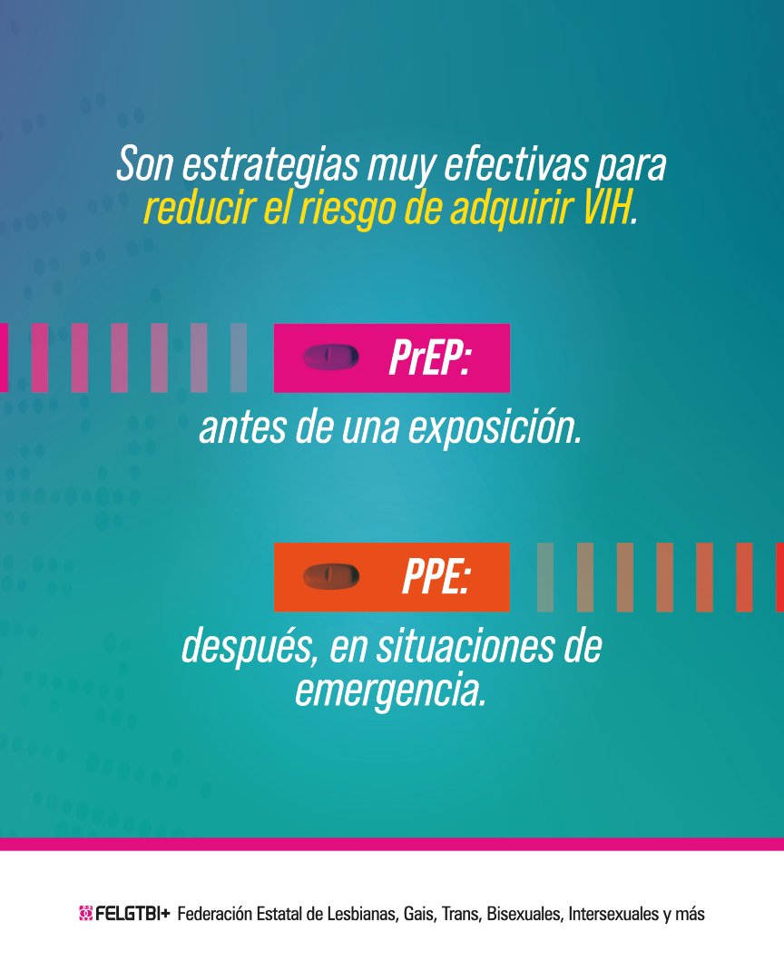 Federación Estatal LGTBI+ tweet media