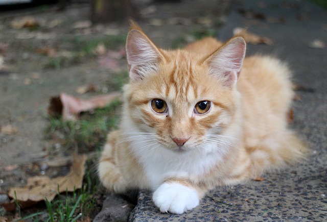 Jason Block tweet media