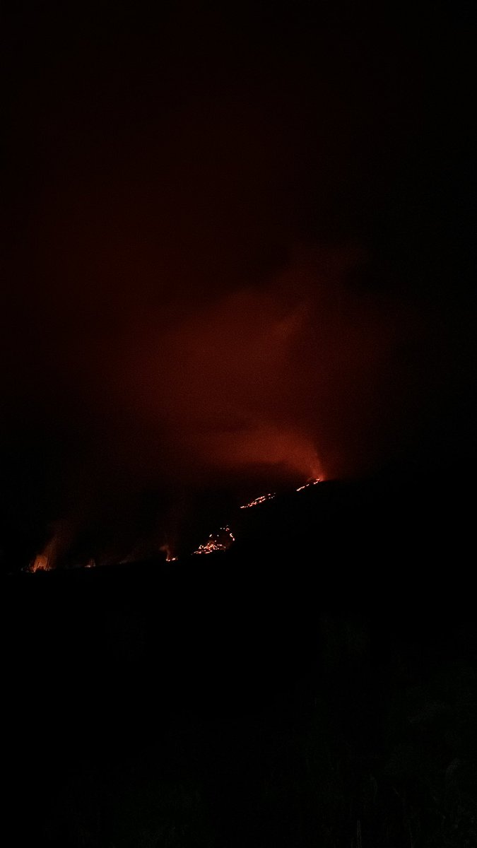 2one 🇷🇪 tweet media