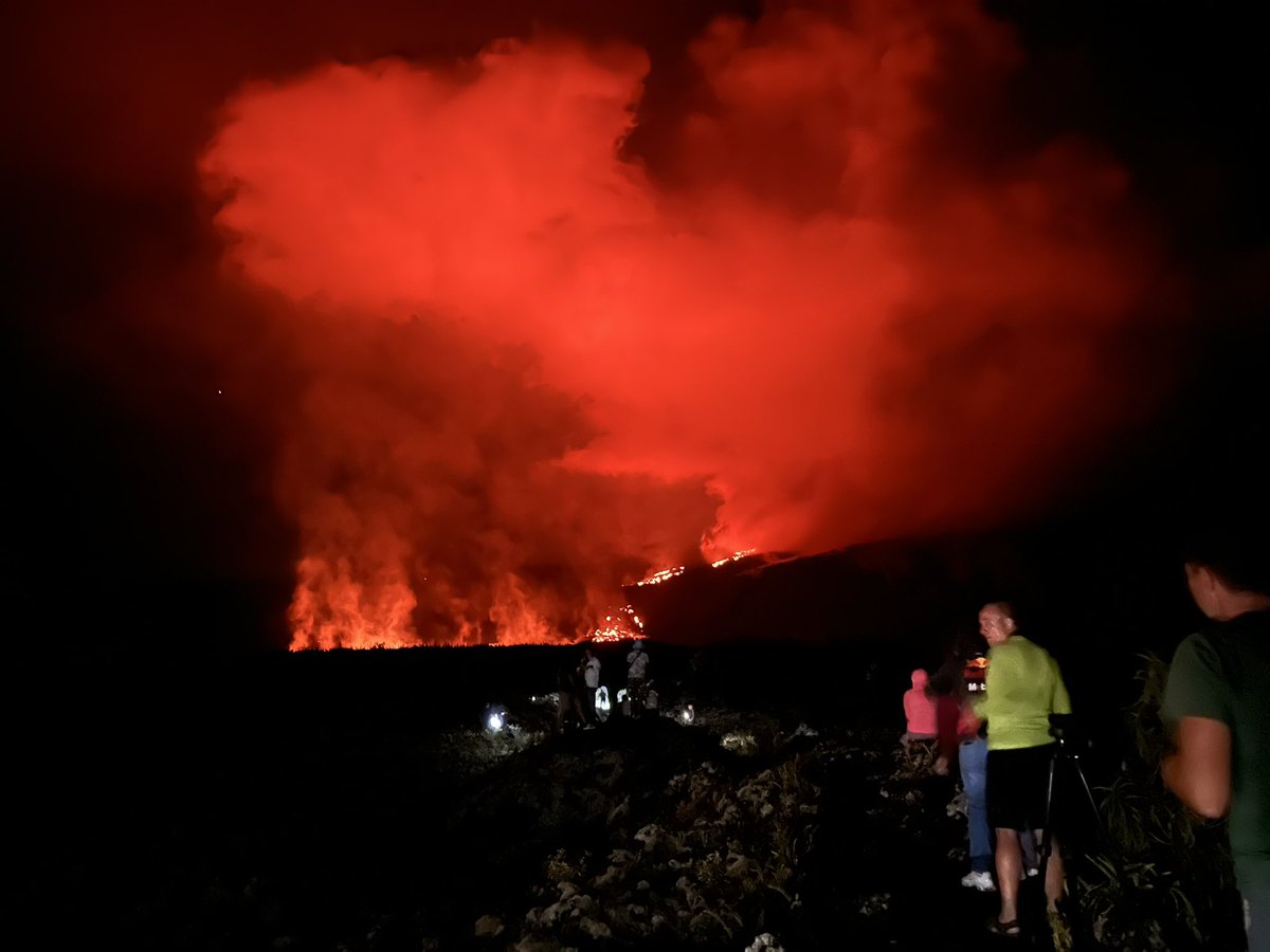 2one 🇷🇪 tweet media