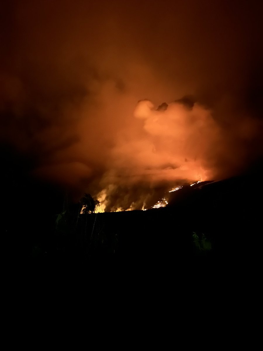 2one 🇷🇪 tweet media