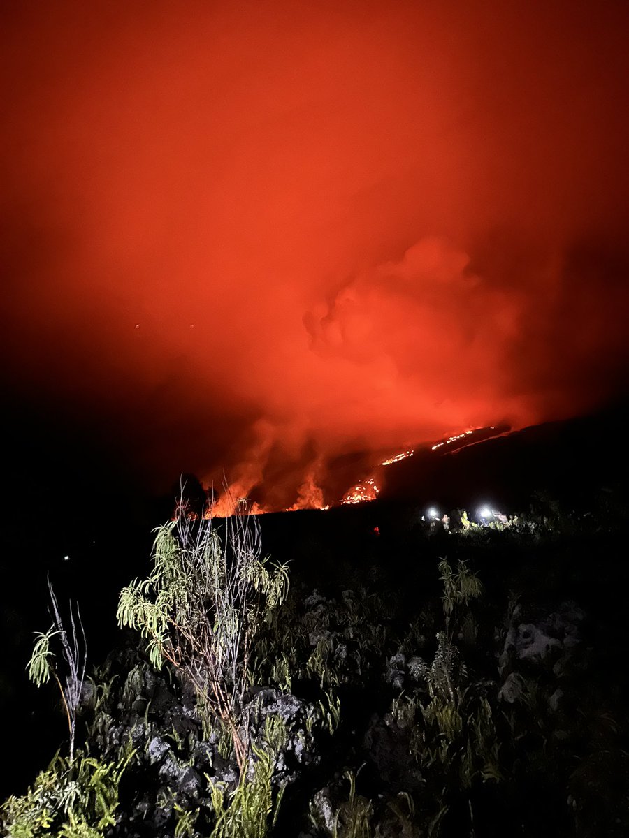 2one 🇷🇪 tweet media