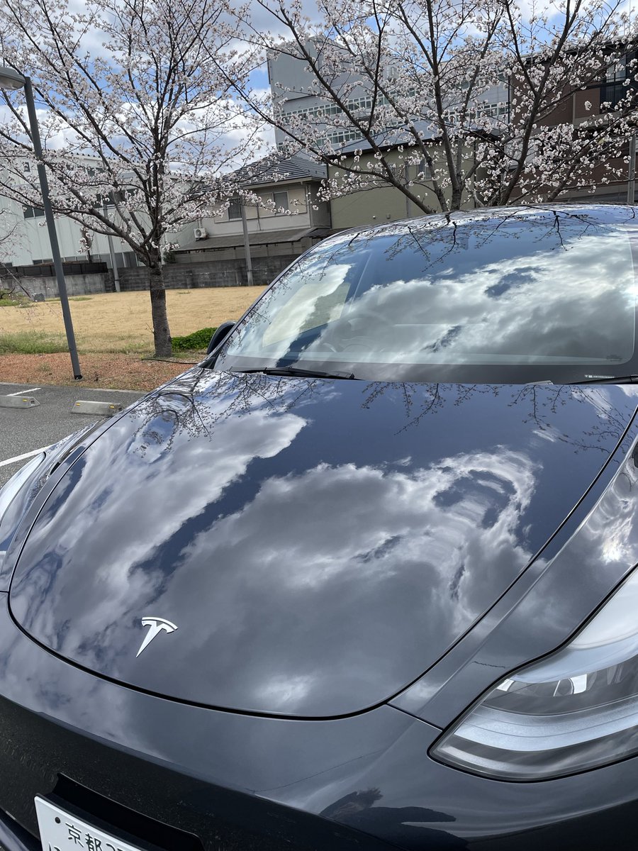dandan4022's tweet photo. 2026.3.12
テスラモデルY納車1年記念日🚗
スーパーチャージャー5年間無料キャンペーンの波に乗れて年間走行64,607キロ🫣
ガソリン代換算したら約100万の節約💰
テスラ側もビックリだと思う笑
#テスラ
#tesla
#モデルY
#スーパーチャージャー5年間無料 https://t.co/itXrk7W43W