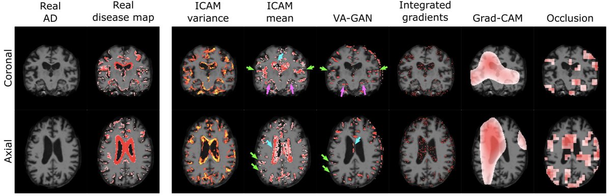 Imaging Neuroscience tweet media