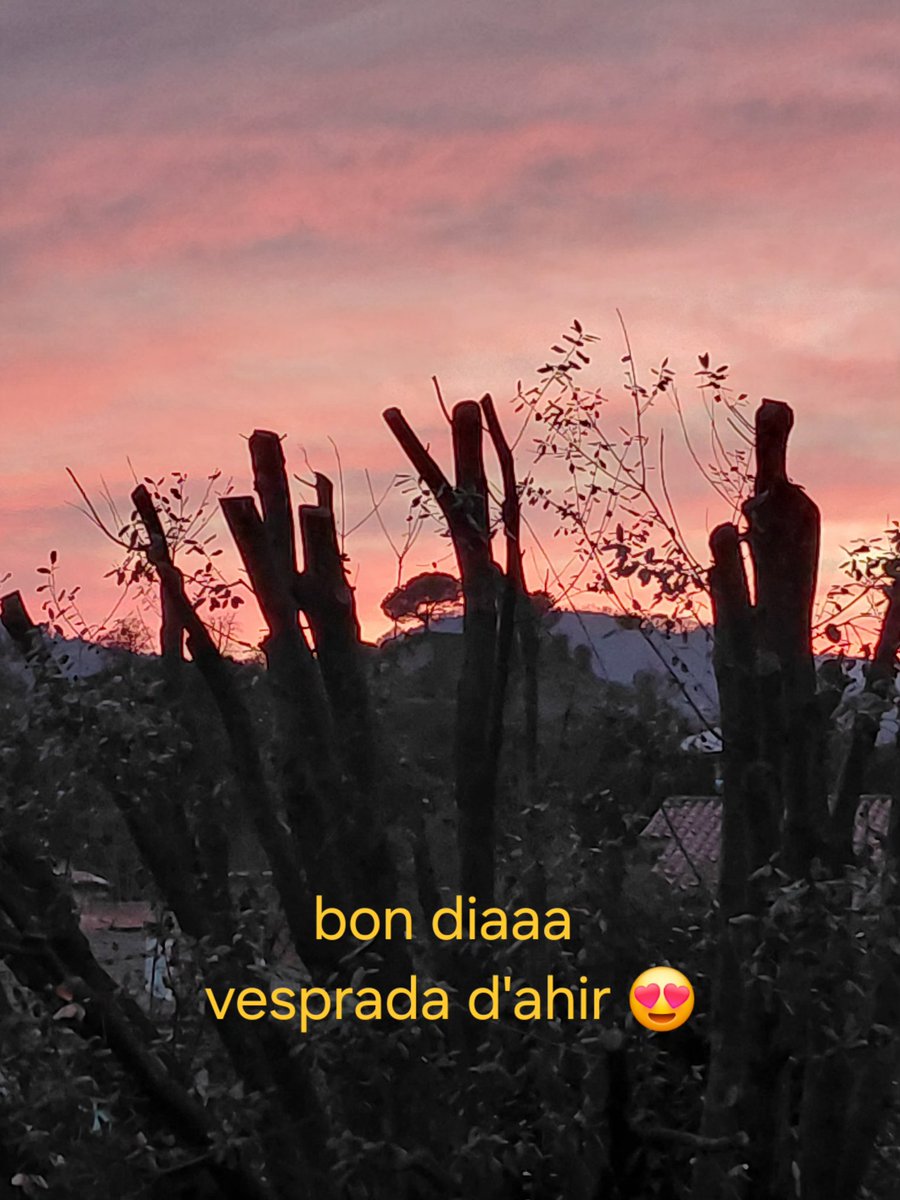 Lola Mas Arjant tweet media