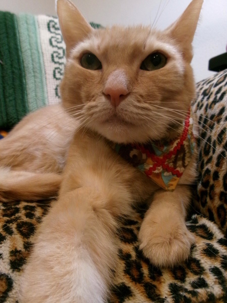 Travis Ford tweet media