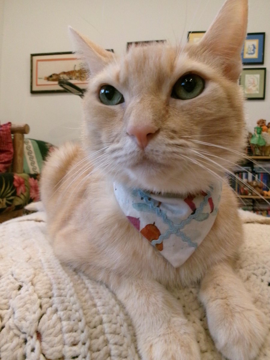 Travis Ford tweet media